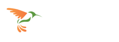 hummingbird-networks-logo-white