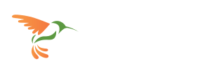 hummingbird-networks-logo-footer